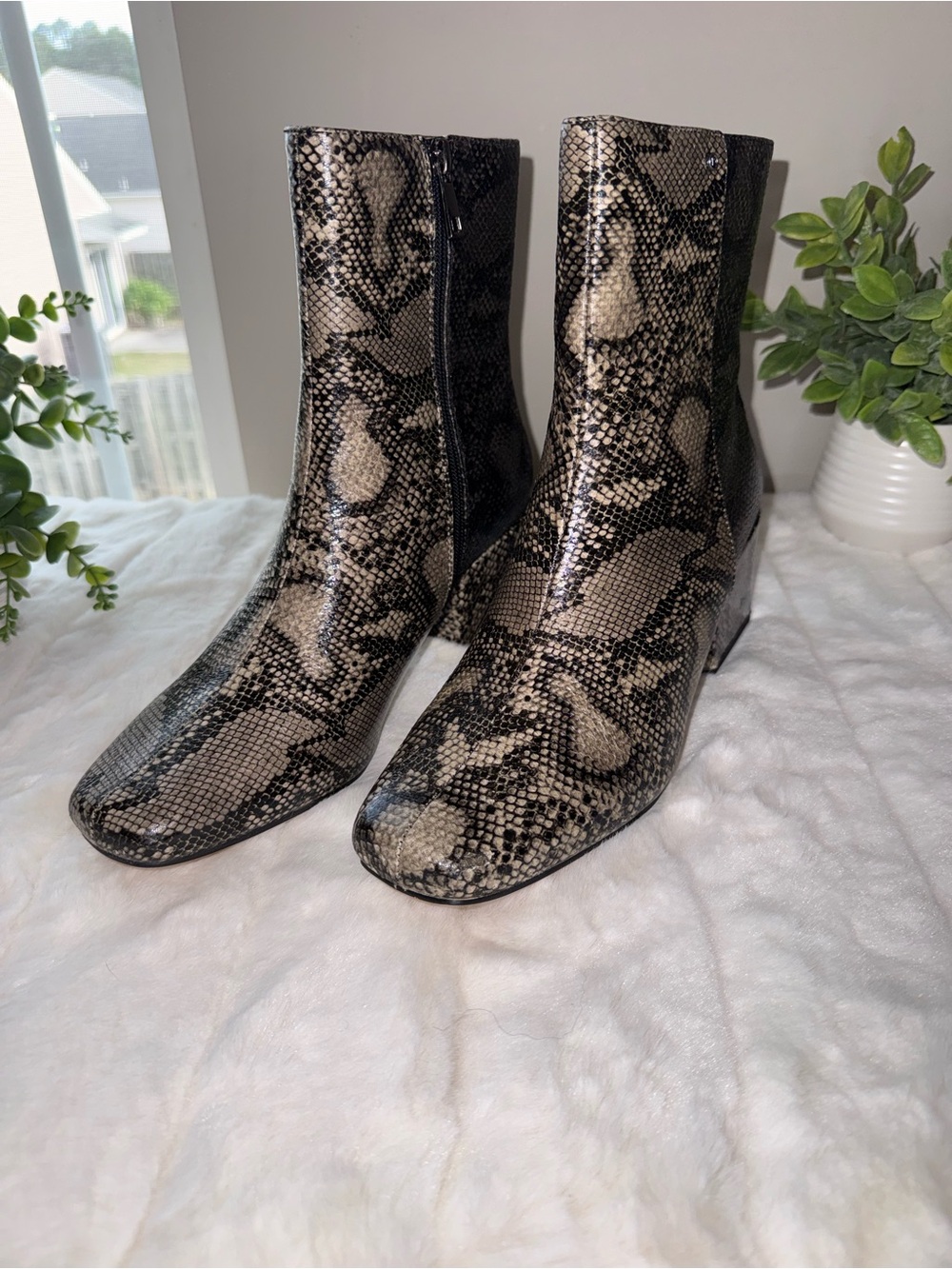 NWT - French Connection Black and Cream Snakeskin Ankle Boots - Size 8.5